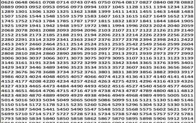 Punjab State Dear 50 Lottery 6pm Result 19.11.25