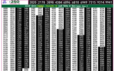 Everest Result Today Dear Lottery Result 2024 Rajshree 50 Daily Lottery 7.30pm Result 19.11.25