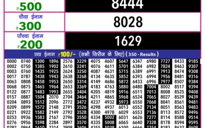 Rajshree 10 Evening Lottery 5.40pm Result 25.11.25