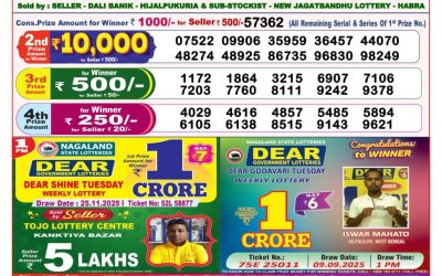Everest Result Today Dear Lottery Result 2024 Dear Lottery 8pm Result 28.11.25