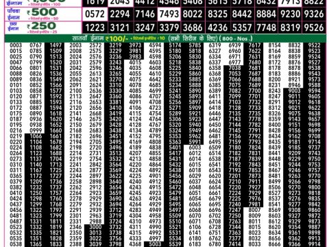 Rajshree 50 Daily Lottery 7.30pm Result 28.11.25 Everest Result Today Dear Lottery Chart