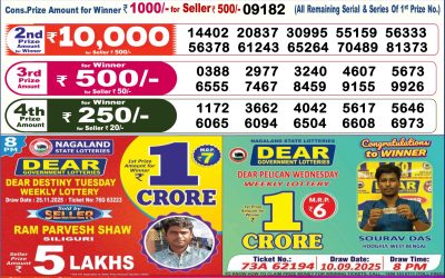 Dear Lottery 6pm Result 29.11.25