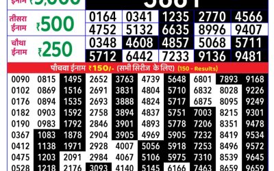 Rajshree Daily Lottery 8pm Result 29.11.25