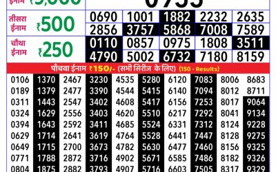 Rajshree Daily Lottery 1pm Result 30.11.25
