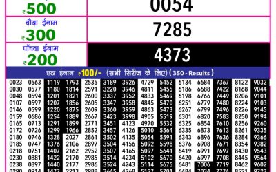 Rajshree 10 Evening Lottery 5.40pm Result 30.11.25