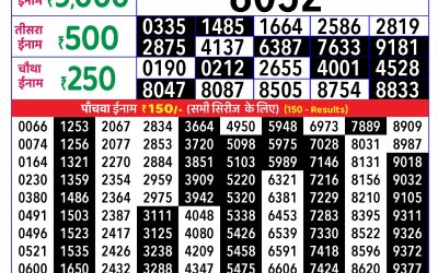 Rajshree Daily Lottery 8pm Result 01.11.25