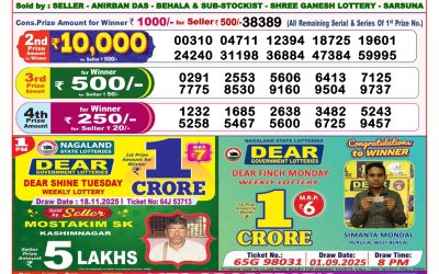 Everest Result Today Dear Lottery Result 2024 Dear Lottery 8pm Result 24.11.25