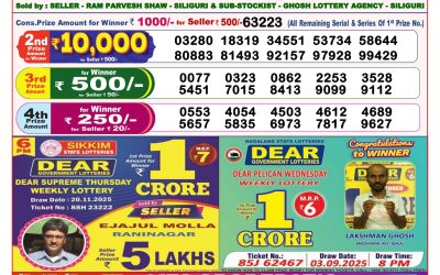 Everest Result Today Dear Lottery Result 2024 Dear Lottery 8pm Result 25.11.25