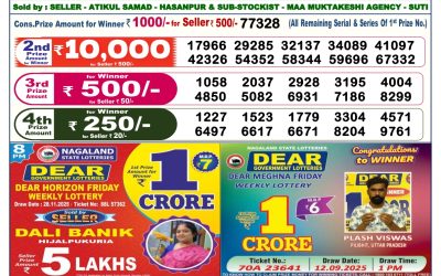Dear Lottery 6pm Result 30.11.25