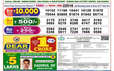 Dear Lottery 8pm Result 03.11.25