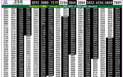 Everest Result Today Dear Lottery Result 2024 Rajshree 50 Daily Lottery 7.30pm Result 03.12.25