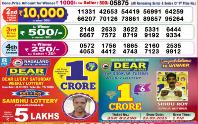 Dear Lottery 8pm Result 07.12.25