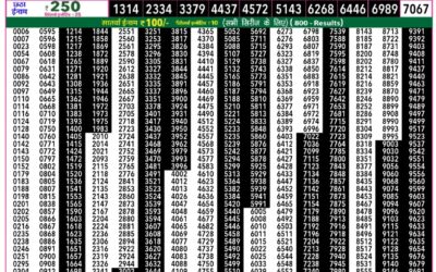Everest Result Today Dear Lottery Result 2024 Rajshree 50 Daily Lottery 7.30pm Result 10.12.25