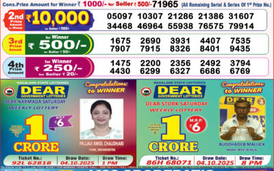 Dear Lottery 8pm Result 13.12.25