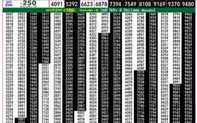 Rajshree 50 Daily Lottery 7.30pm Result 17.12.25