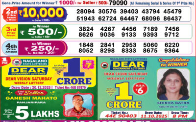 Dear Lottery 8pm Result 20.12.25