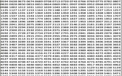 Punjab State Dear 50 Lottery 6pm Result 23.12.25