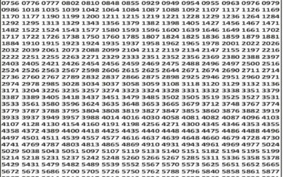 Punjab State Dear 50 Lottery 6pm Result 24.12.25