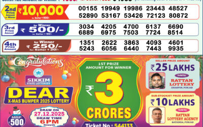 Dear Lottery 1pm Result 28.12.25
