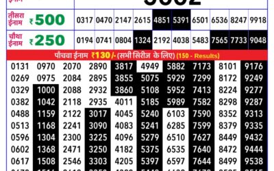 Rajshree Daily Lottery 8pm Result 29.12.25