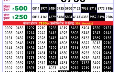 Rajshree Daily Lottery 8pm Result 30.12.25