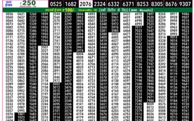 Rajshree 50 Daily Lottery 7.30pm Result 31.12.25
