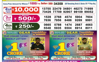 Dear Lottery 6pm Result 31.12.25