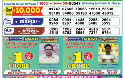 Everest Result Today Dear Lottery Result 2024 Dear Lottery 1pm Result 31.12.25