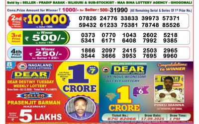 Dear Lottery 8pm Result 03.12.25
