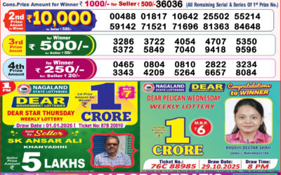 Dear Lottery 8pm Result 01.01.26