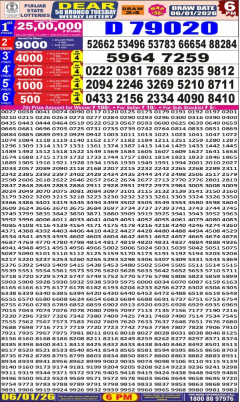 Everest Result Today Dear Lottery Chart