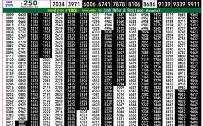 Rajshree 50 Daily Lottery 7.30pm Result 07.01.26