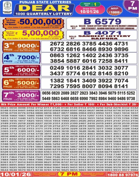 Everest Result Today Dear Lottery Chart