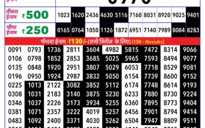 Rajshree Daily Lottery 8pm Result 11.01.26