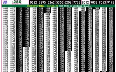 Everest Result Today Dear Lottery Result 2024 Rajshree 50 Daily Lottery 7.30pm Result 14.01.26