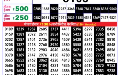 Rajshree Daily Lottery 8pm Result 17.01.26