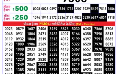 Rajshree Daily Lottery 8pm Result 24.01.26
