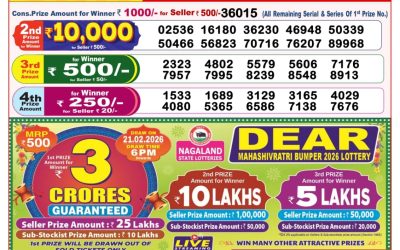 Dear Lottery 8pm Result 29.01.26