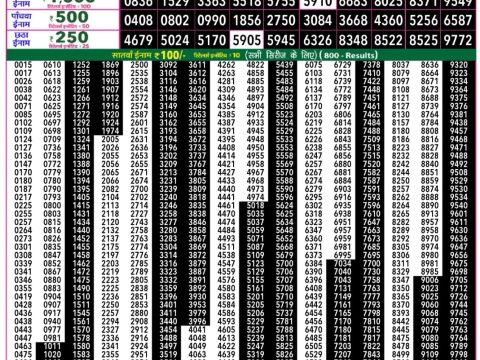 Everest Result Today Dear Lottery Chart
