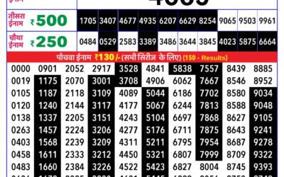 Rajshree Daily Lottery 8pm Result 23.01.26