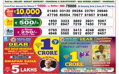 Dear Lottery 8pm Result 08.01.26