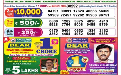 Dear Lottery 8pm Result 11.01.26