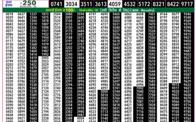 Rajshree 50 Daily Lottery 7.30pm Result 04.02.26
