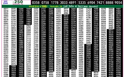 Rajshree 50 Daily Lottery 7.30pm Result 11.02.26