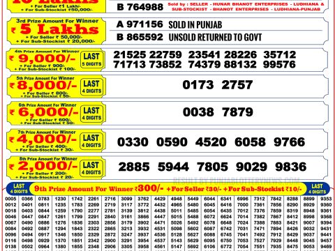Punjab State Dear 200 Monthly Lottery 2 5 2026 Result