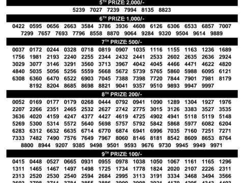 Sthree Sakthi SS-533 Kerala Lottery Result Today 18.08.26 Everest Result Today Dear Lottery Chart
