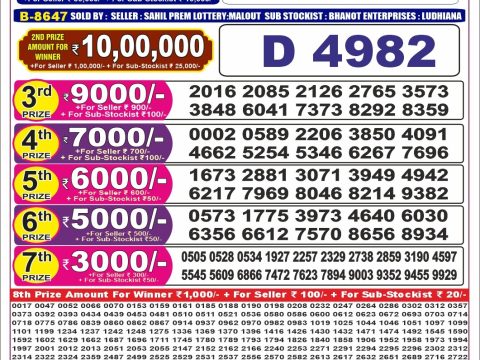Everest Result Today Dear Lottery Chart
