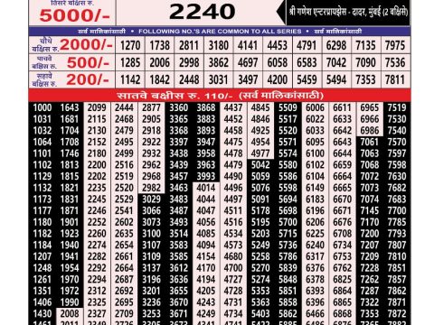 Everest Result Today Dear Lottery Chart